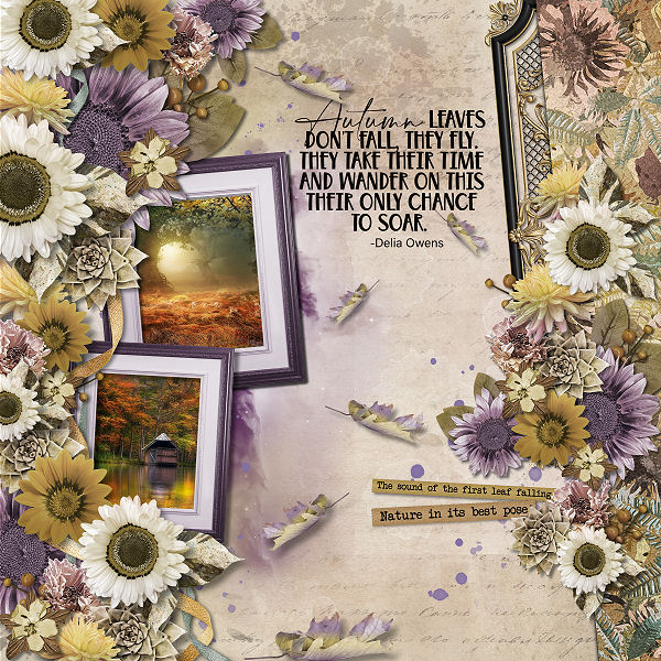 Kakleid-Fields Of Gold LO 1 by Lana 2022.jpg