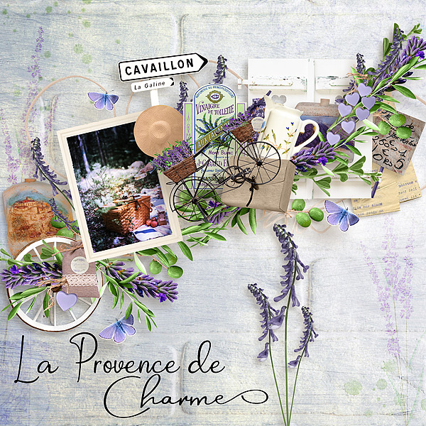 La-Provence de Charmes