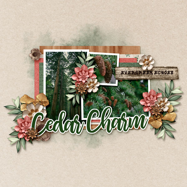 Layout Bingo - Pinecone