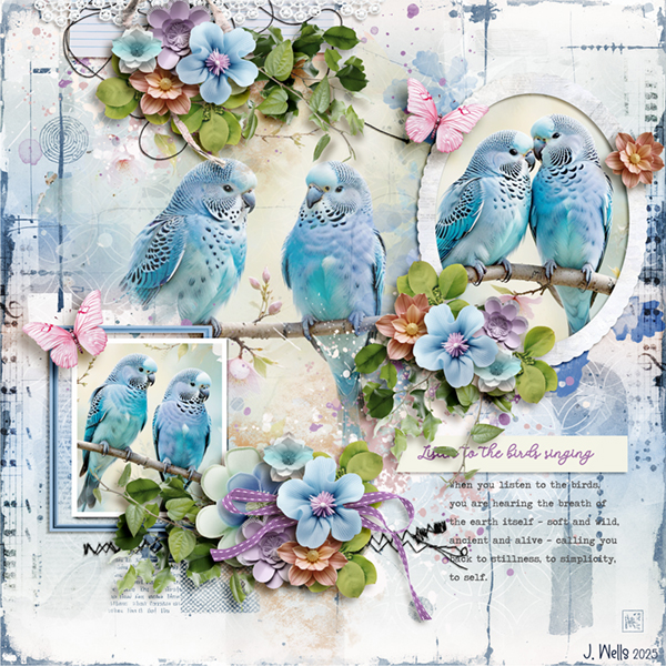 listen-to-the-birds