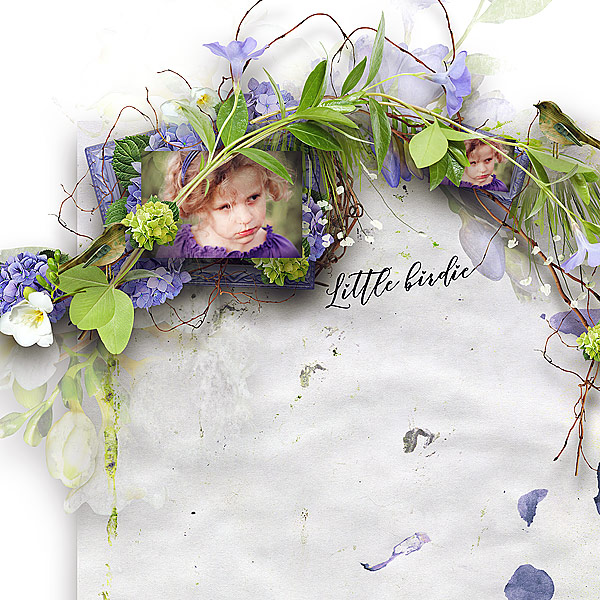 Little birdie - collection by DitaB Designs