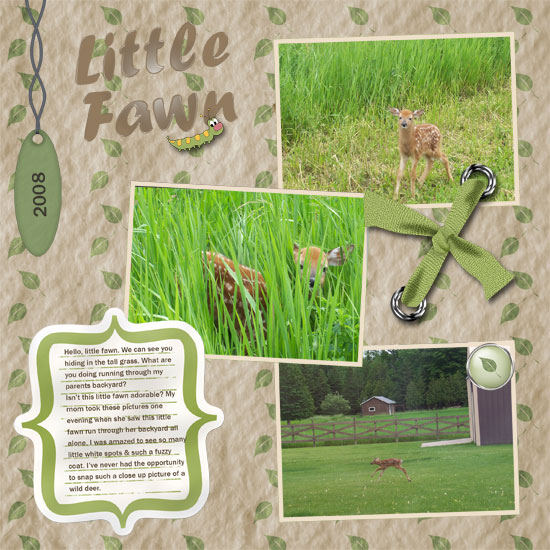 Little Fawn