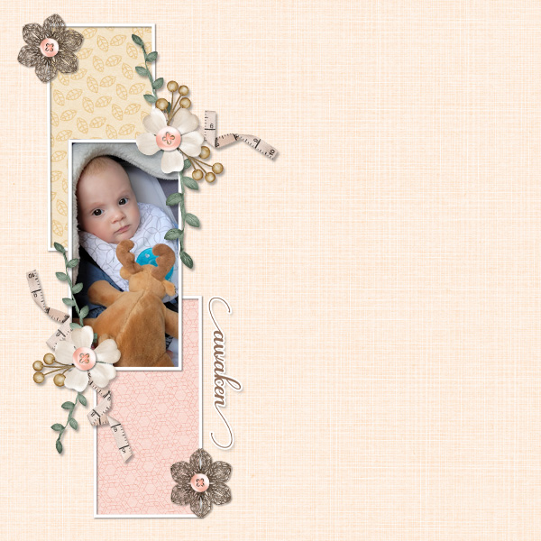 Little Miss Rose 2022