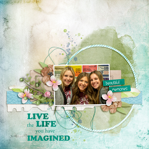 Live the Life You Have Imagined