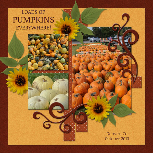 Loads of PUMPKINS Everywhere