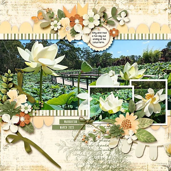 Lotus Farm