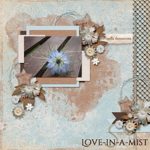 Love in a Mist