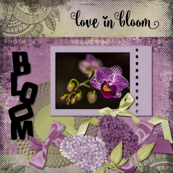 Love in Bloom