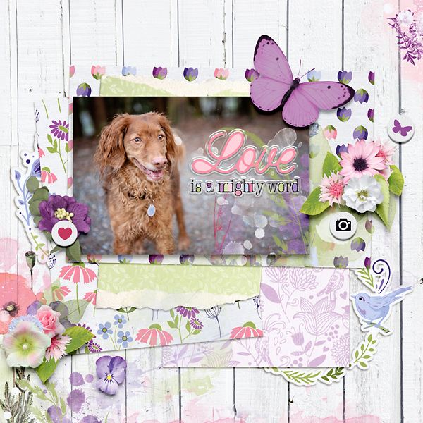 Love Is A Might Word