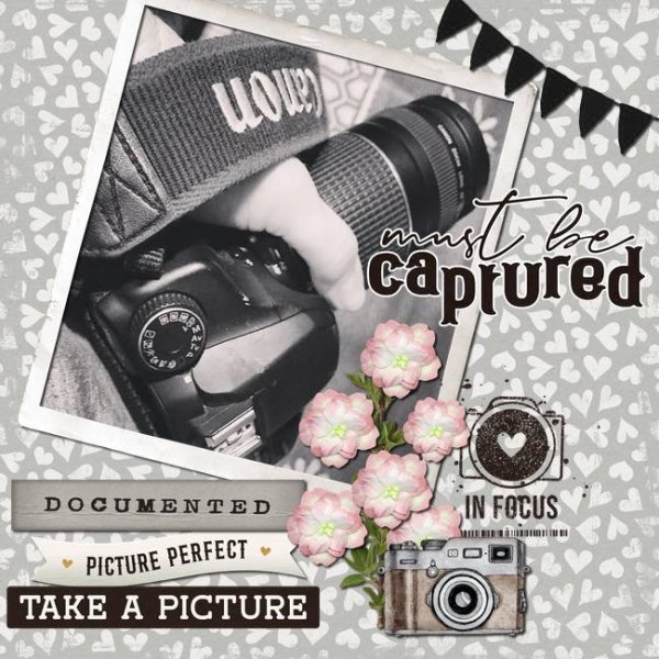 Love My Camera