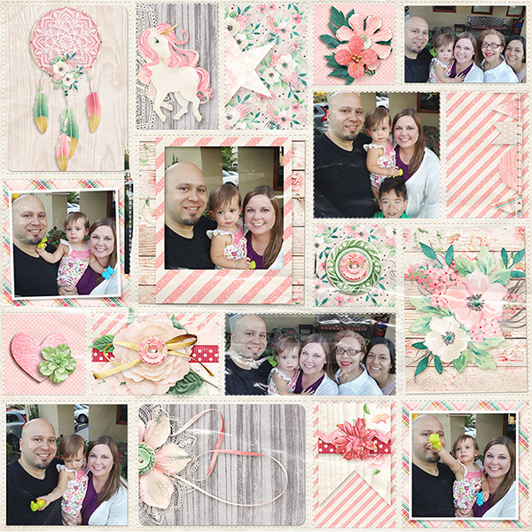 Love of a Family