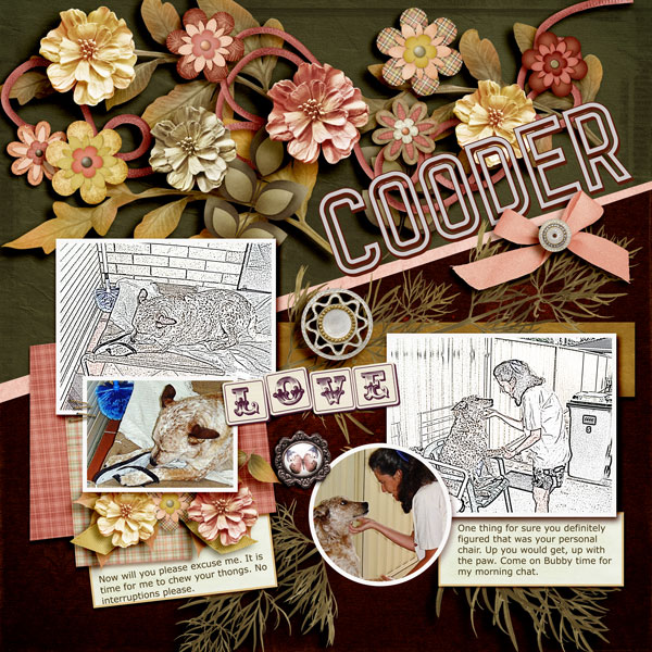 MAY-CREATIVELY-CROPPED---COODER.jpg