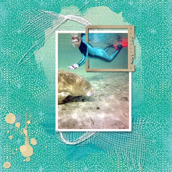 Me and Manatee