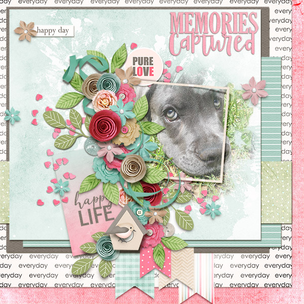 Memories-Captured.jpg