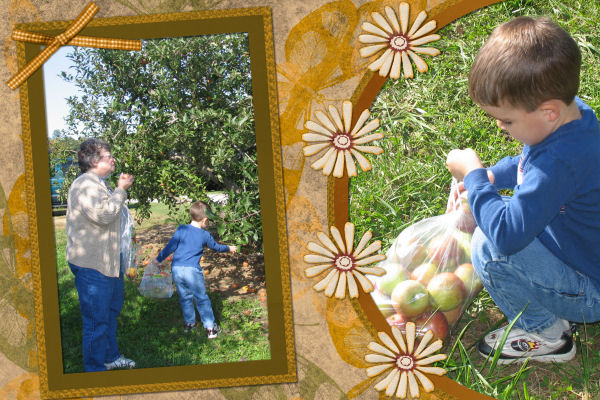 more apple picking