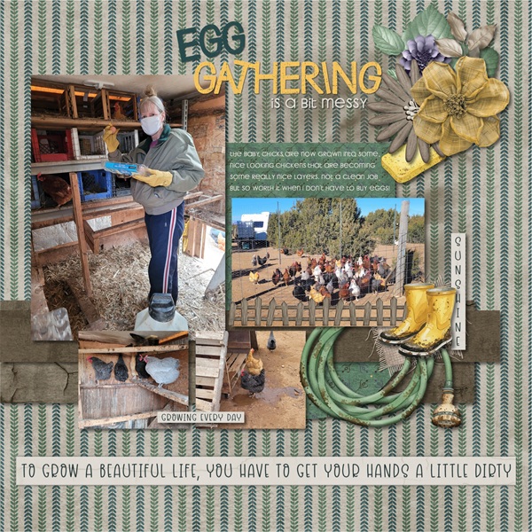 Muddy Boots - Egg Gathering.jpg