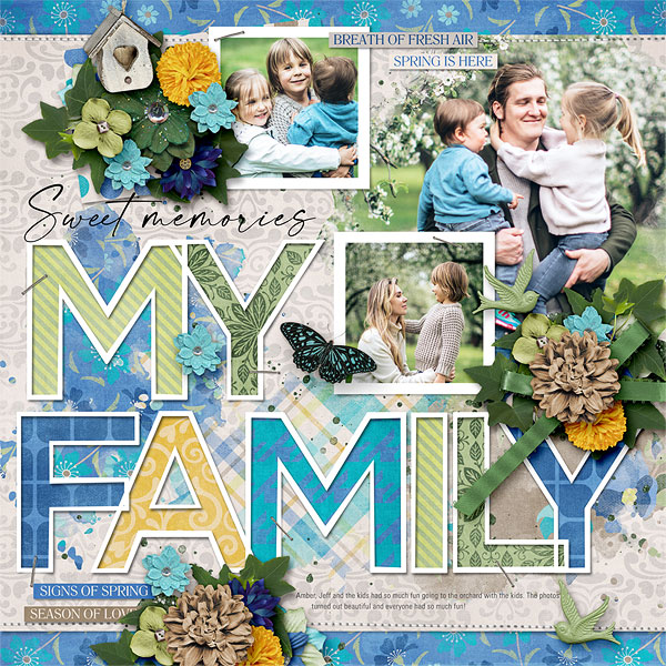 My Family