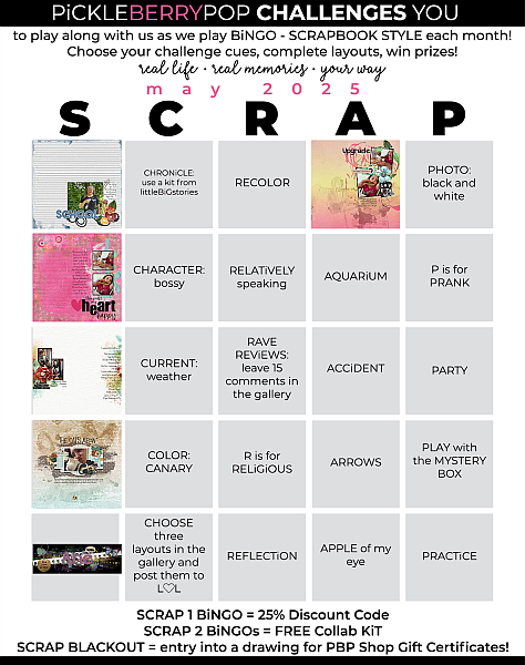 My May 2025 Bingo Card