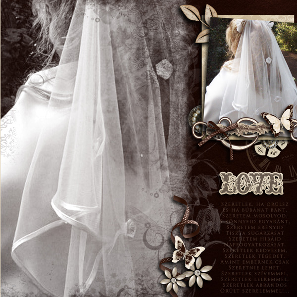 My wedding voile