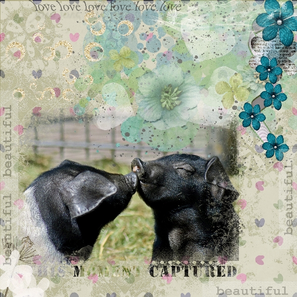 Mystery Box 02-20-001.jpg