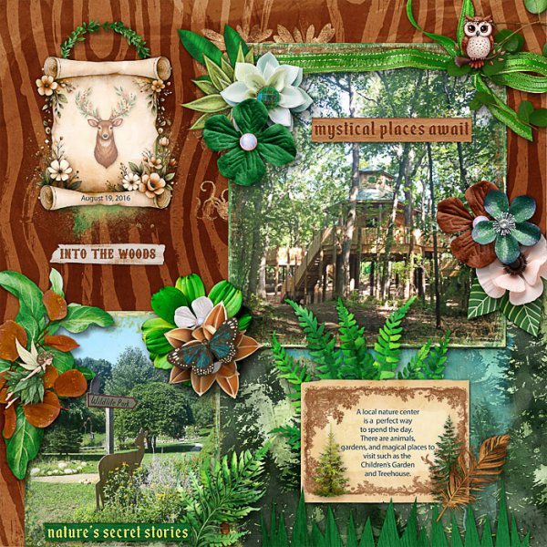 Mystical Places at the Nature Center