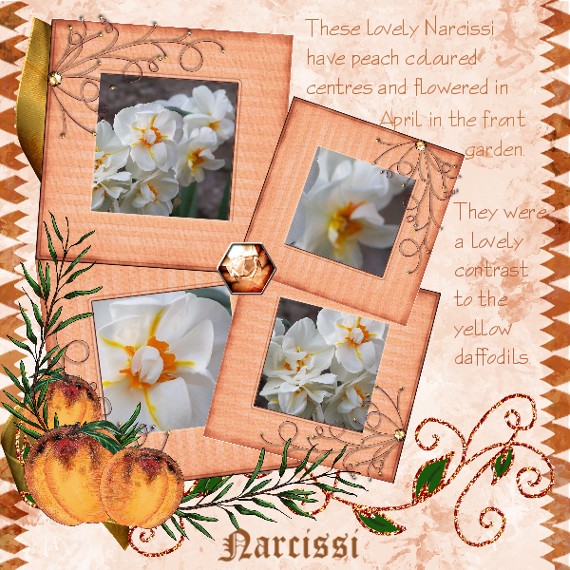 Narcissi