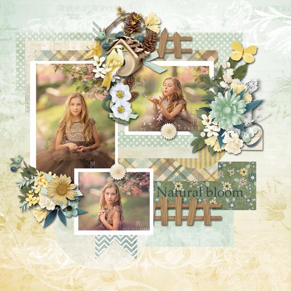 Natural Bloom by Eudora Designs