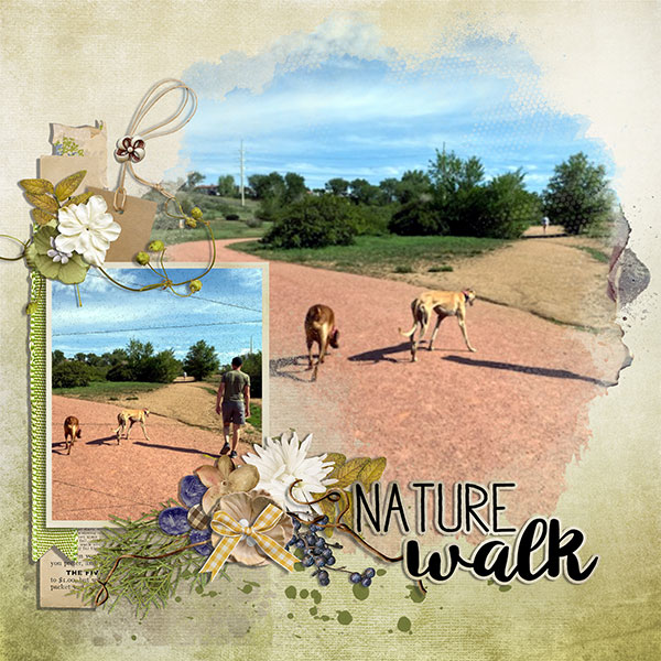 nature walk