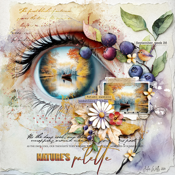 nature's-palette