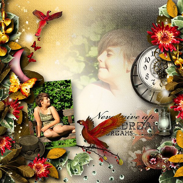 never give up dreams