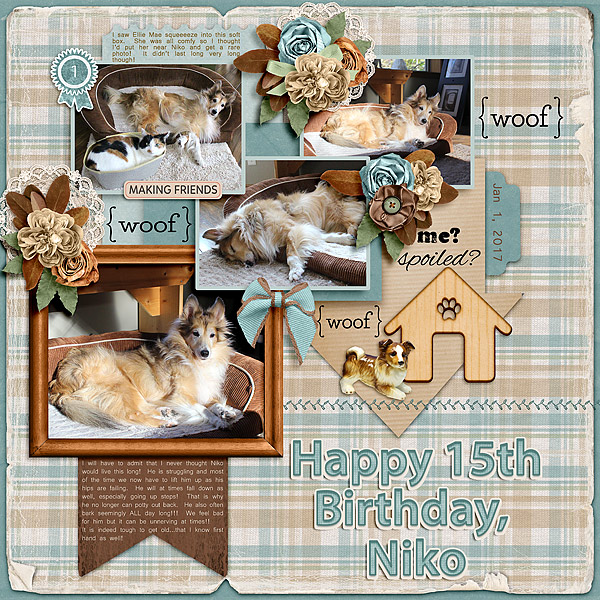 Niko 15 Years