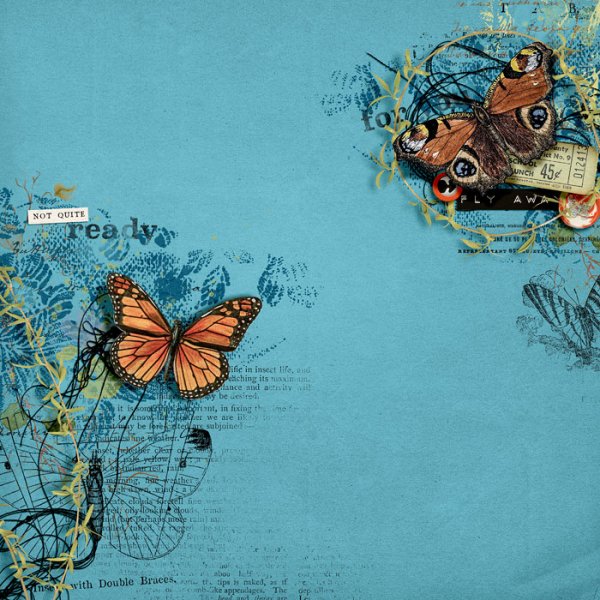Not quite ready for you to fly away