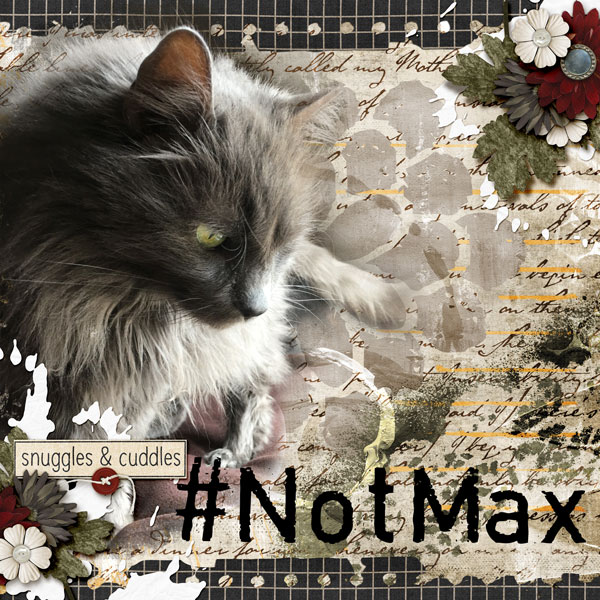 #notMax