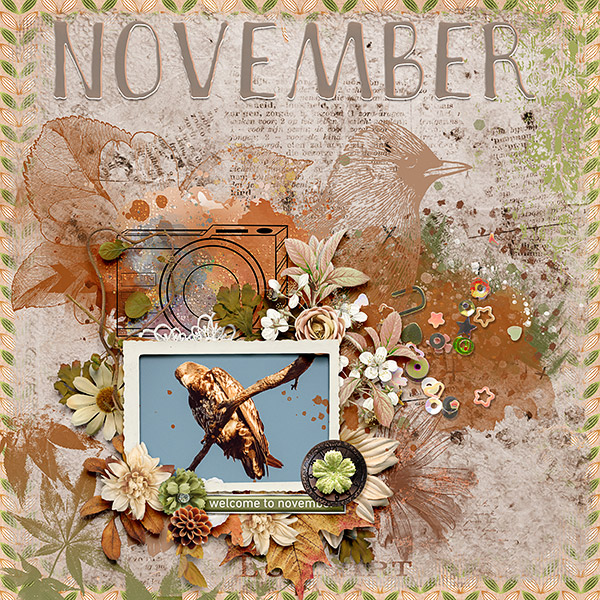 November