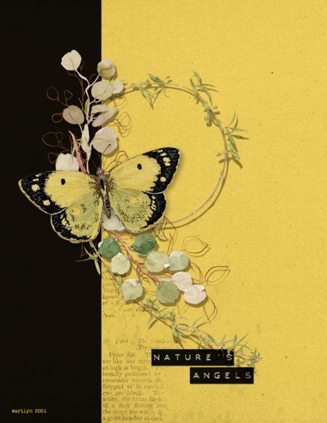 OAWA_2021-06_June_0615_Butterfly-Effect_web.jpg