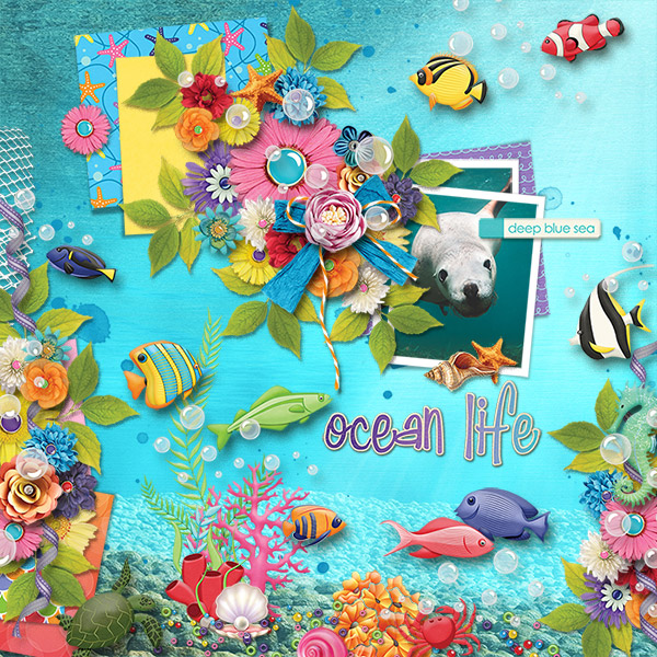 Ocean-Life.jpg