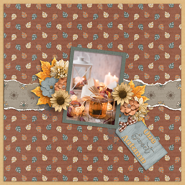 One-Sweet-Autumn-Layout-web.jpg