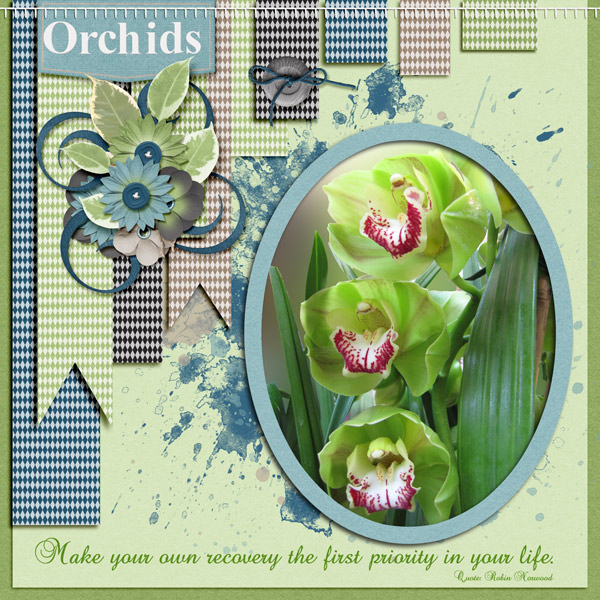 Orchids