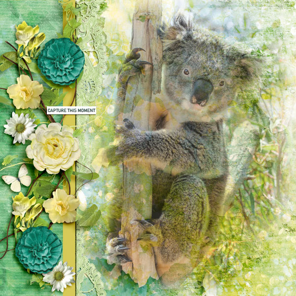 PAPER-CHALLENGE----DUTCH-DREAM-DESIGNS---KOALA.jpg