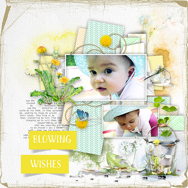 *Paper Plus layered templates*