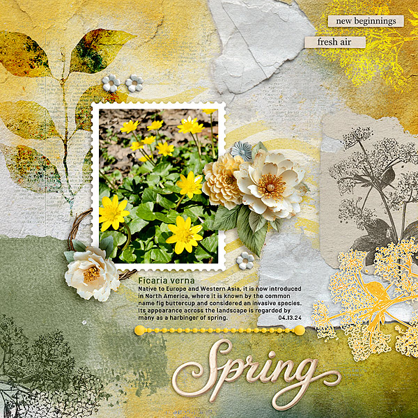 PBP-April-6.jpg