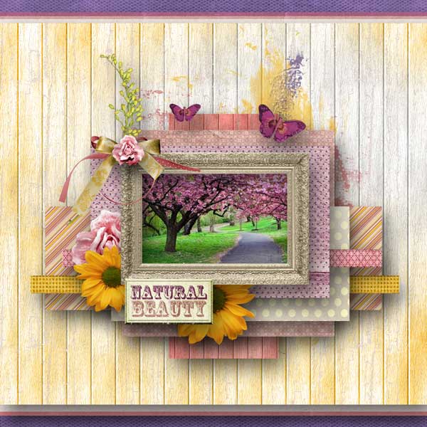 pbp-nov-2013-scraplift
