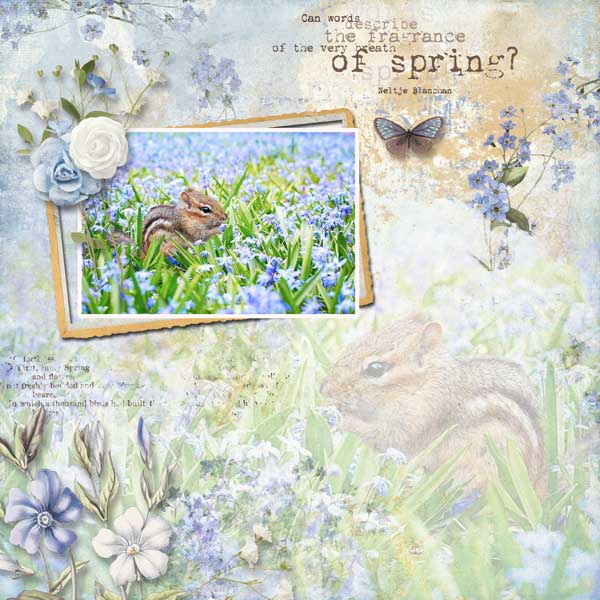 periwinkle-poetry-OAWA.jpg