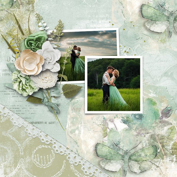 pickelberry 2024 06 layered.jpg