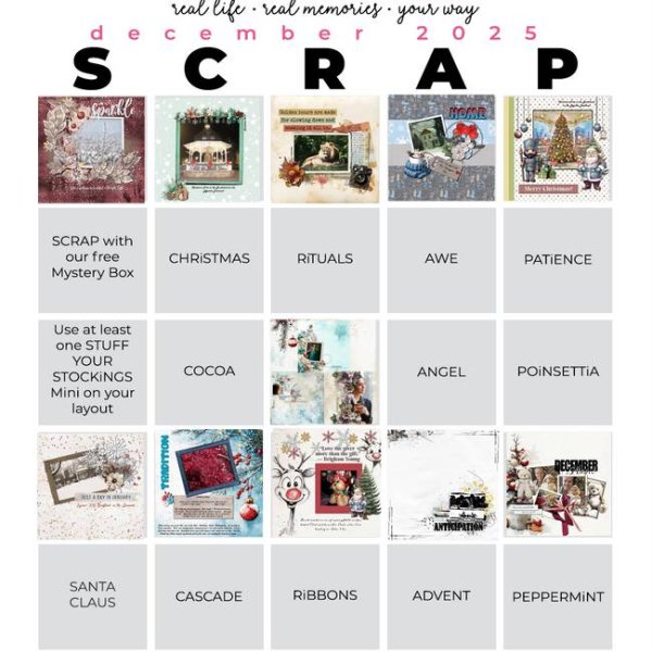 Pickleberry Pop Challenges 2 - Page 1.jpg