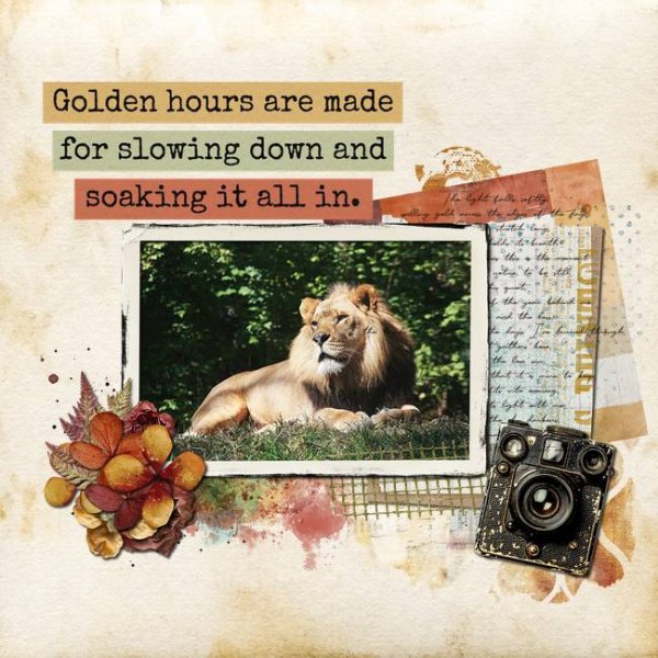 Pickleberry Pop Challenges 2 - Rays.jpg