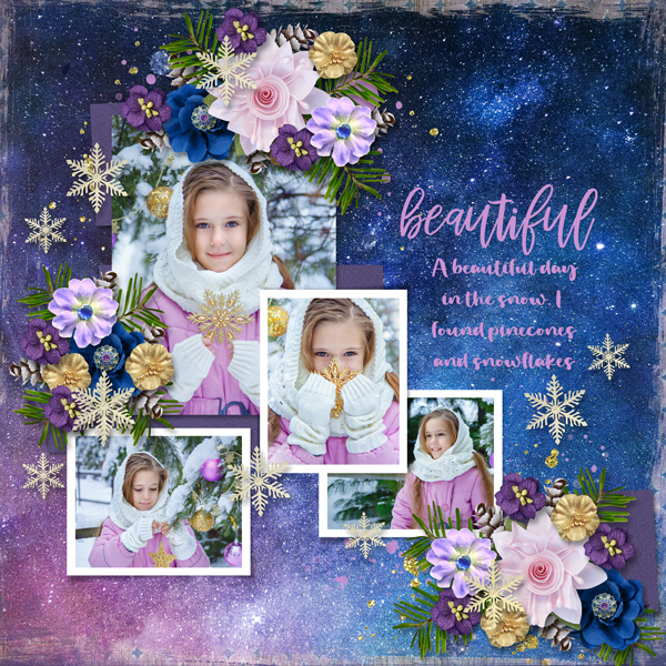 Pinecones and Snowflakes