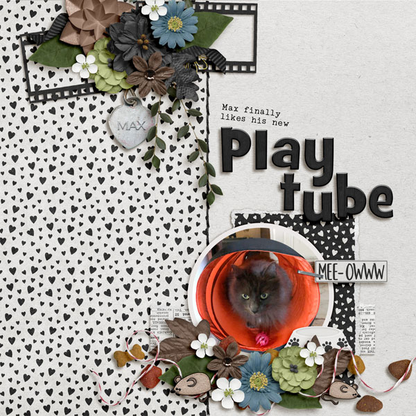 Play Tube