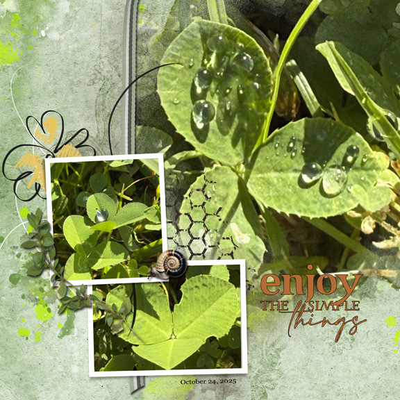 Play With Template 8x8 72.jpg