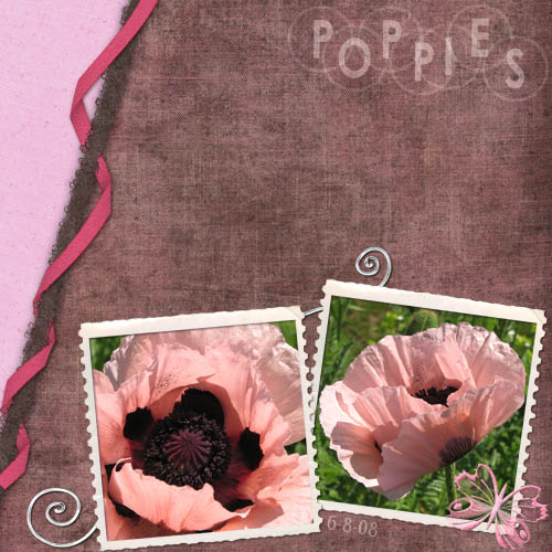 Poppies